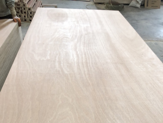 Sanded Eucalyptus Exterior Plywood 2440 mm x 1220 mm x 8 mm