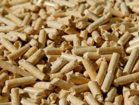 Pine Wood Pellet 8 mm x 10 mm