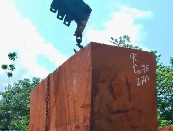 4-seitig Sägegestreiftes Rundholz Doussie (Afzelia 700 mm x 800 mm x 2.2 m